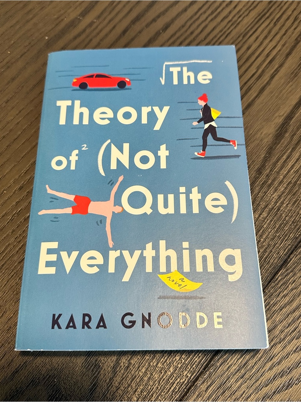 📚4 for $25📚The Theory of (Not Quite) Everything' by Kara Gnodde